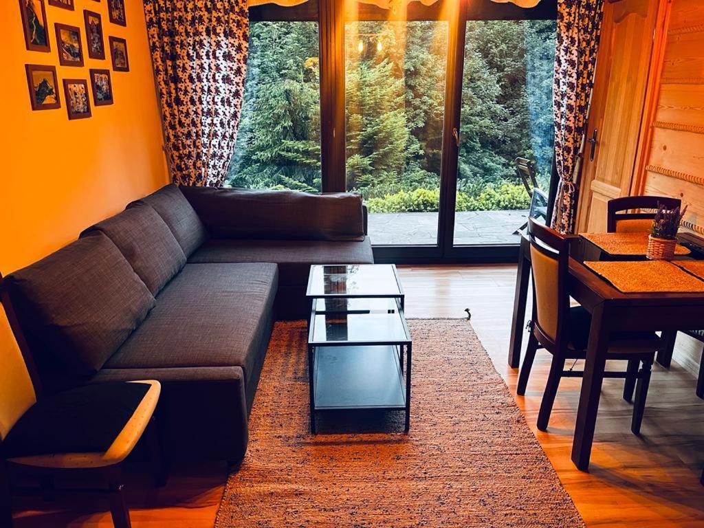 Butorowy Cichy Potok Apartment Кошелско Екстериор снимка